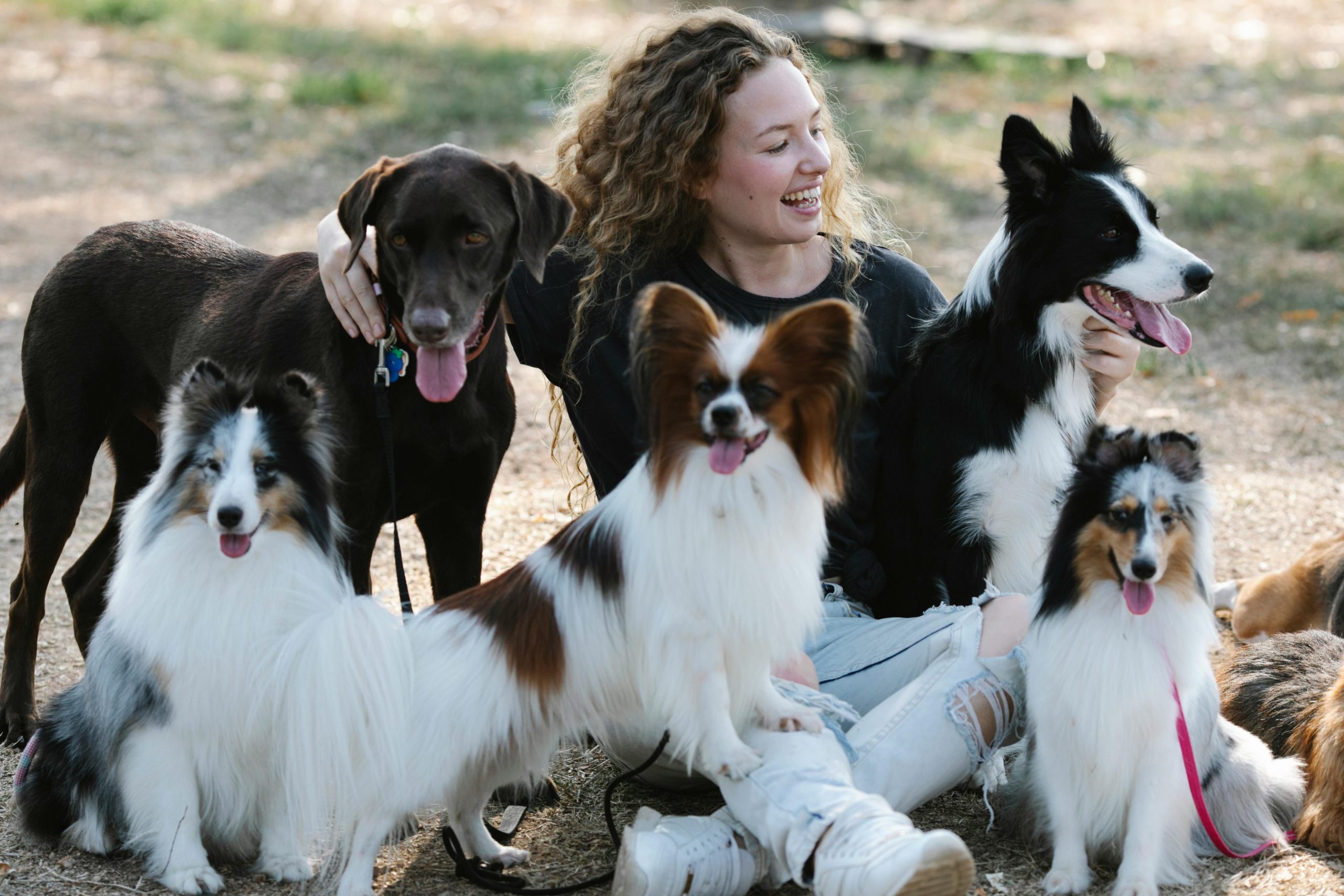 Woman with lots of dogs